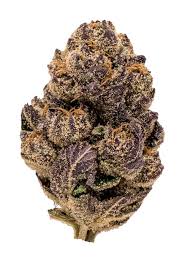 Photograph of product: Baseline | Casino Kush 7g