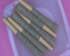 Photograph of product: GruV | 5x.7g | Plum Crazy | Pre-Roll Pack