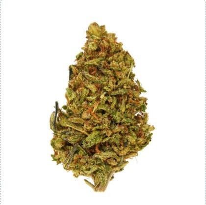 Photograph of product: Glitter Bomb | 28g Flower