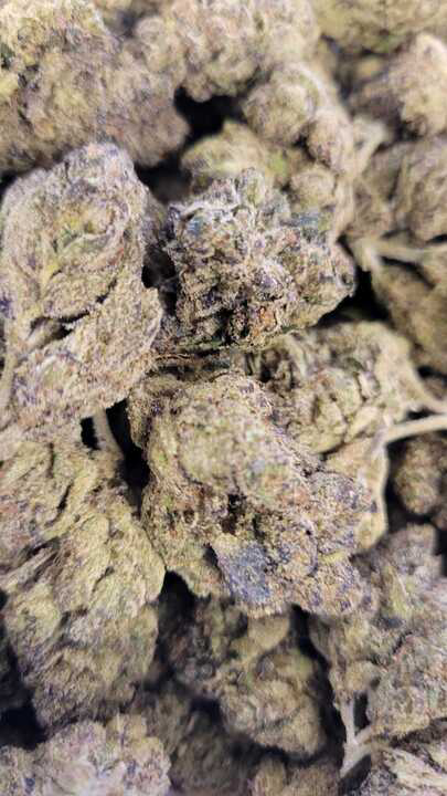 Photograph of product: Lemon Cherry Beltz (MSB)