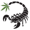 thumbnail-Size Logo for storeLogo: Scorpion Grass - Wasilla
