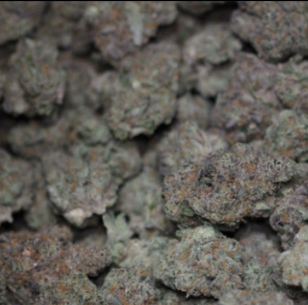 Photograph of product: Blueberry Crunch | Orbit - 28g