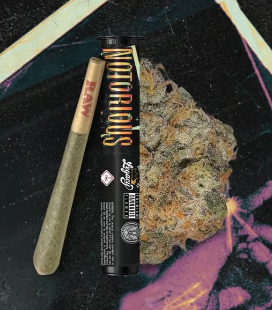 Photograph of product: EVOL NOTORIOUS #1 CONE 1G