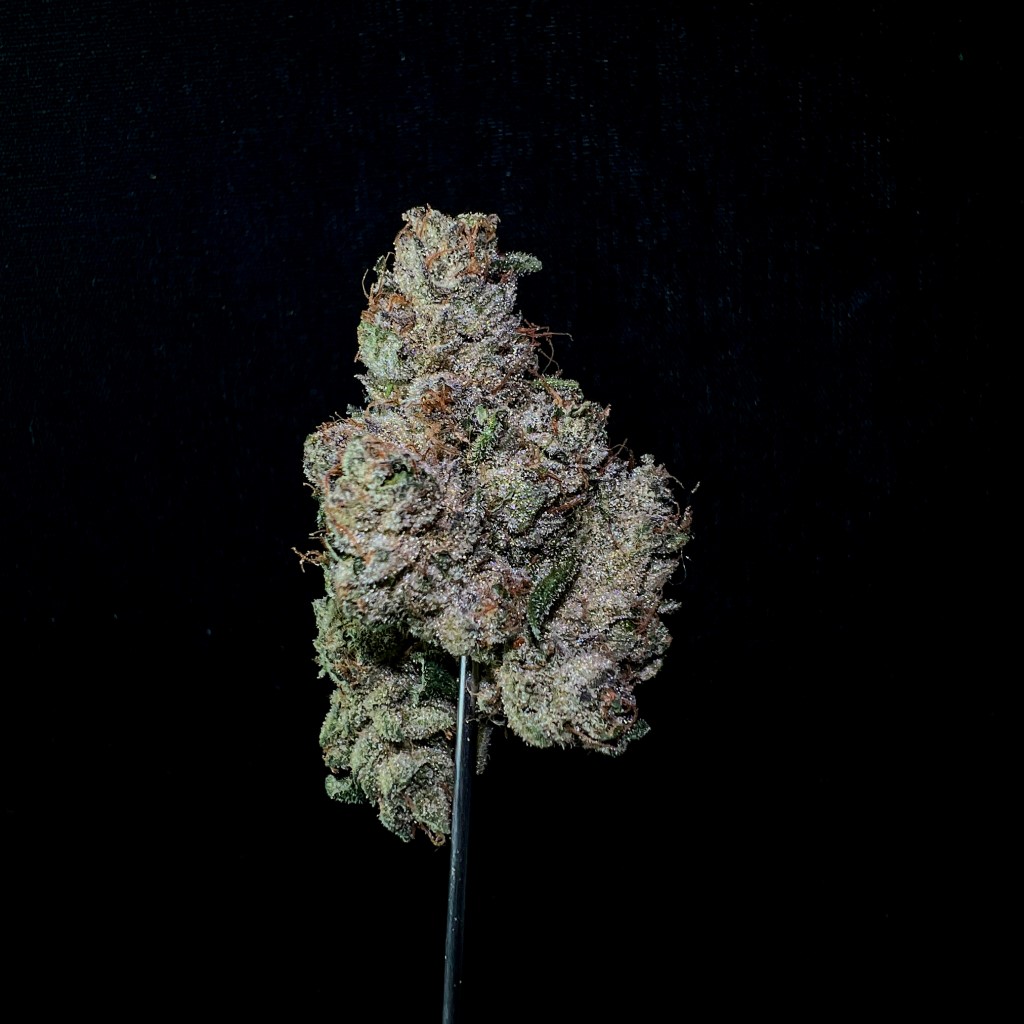 Photograph of product: Runtz Banger I - 28g