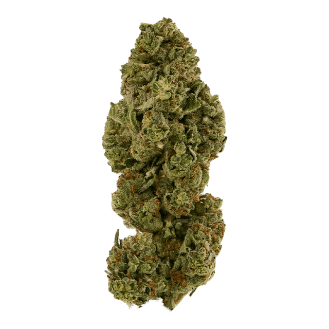 Photograph of Product: Black - Gelato 33 (H) - 14g