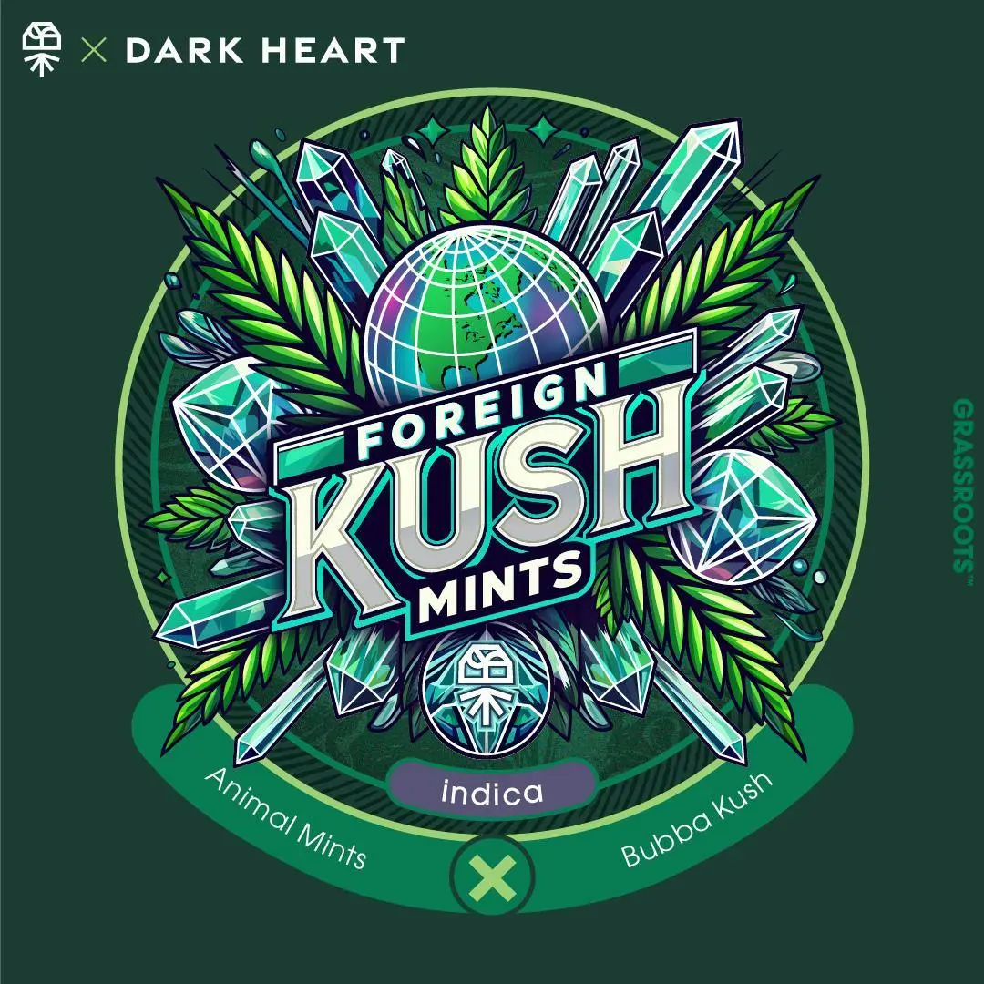 Photograph of product: Grassroots - Foreign Kush Mints (I) - 30.20% - Flower - 14g
