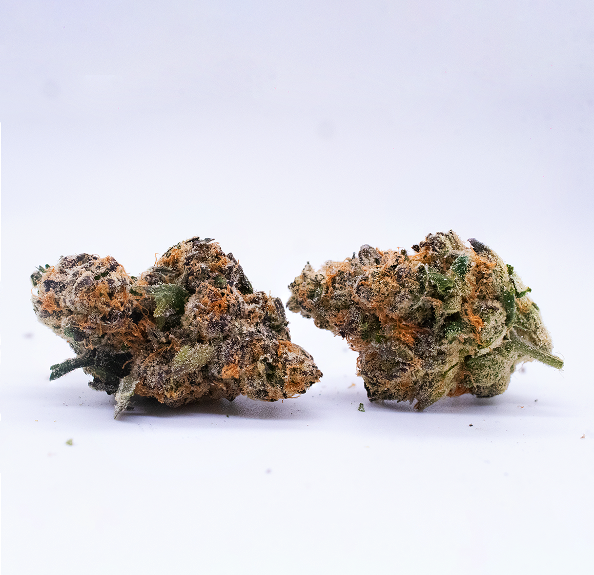 Photograph of product: Blue Nerdz - Buds - 28g