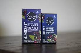 Photograph of product: Elderberry - CBD & CBN HEMP 40pc Gummy