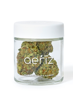 Photograph of product: au chocolatBURGER | 3.5G