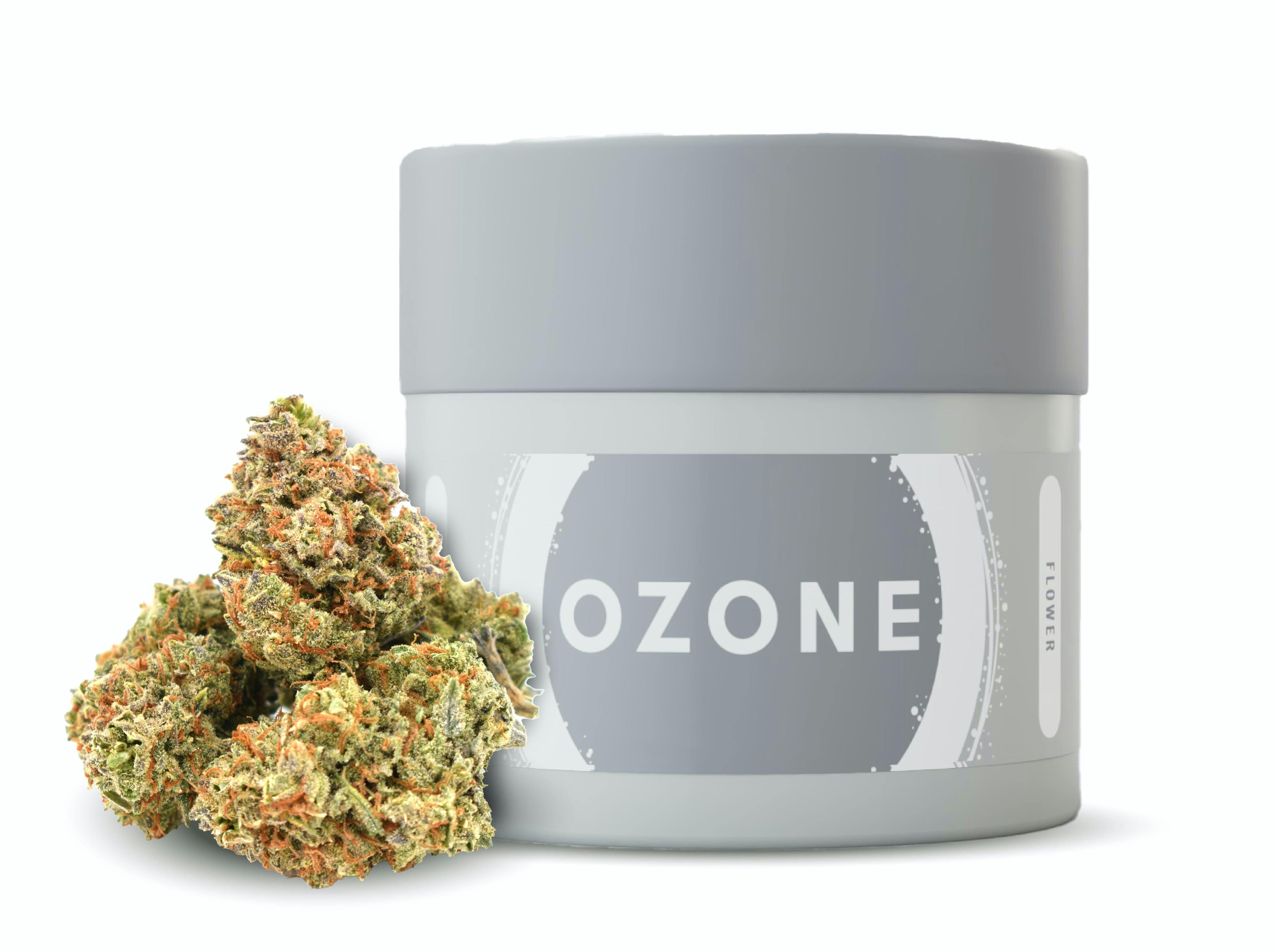 Photograph of product: Garlic Cookies | 1/8 oz