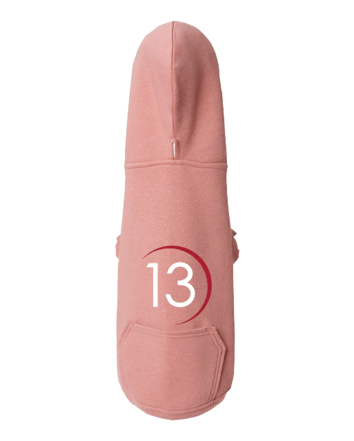 Photograph of product: P13 Pink Pet Hoodie Medium
