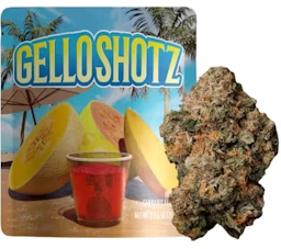 Photograph of product: Gello Shotz [S] - Flower - 3.5g
