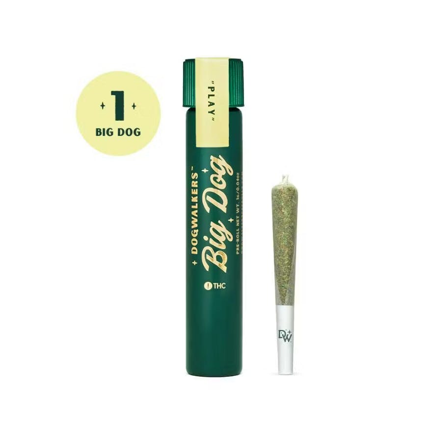 Photograph of product: WHITE DURBAN | 1G | BIG DOGS
