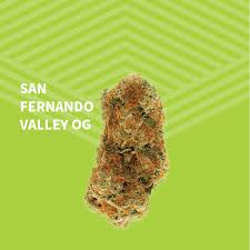 Photograph of product: SFV OG Kush Whole Flower - 7g