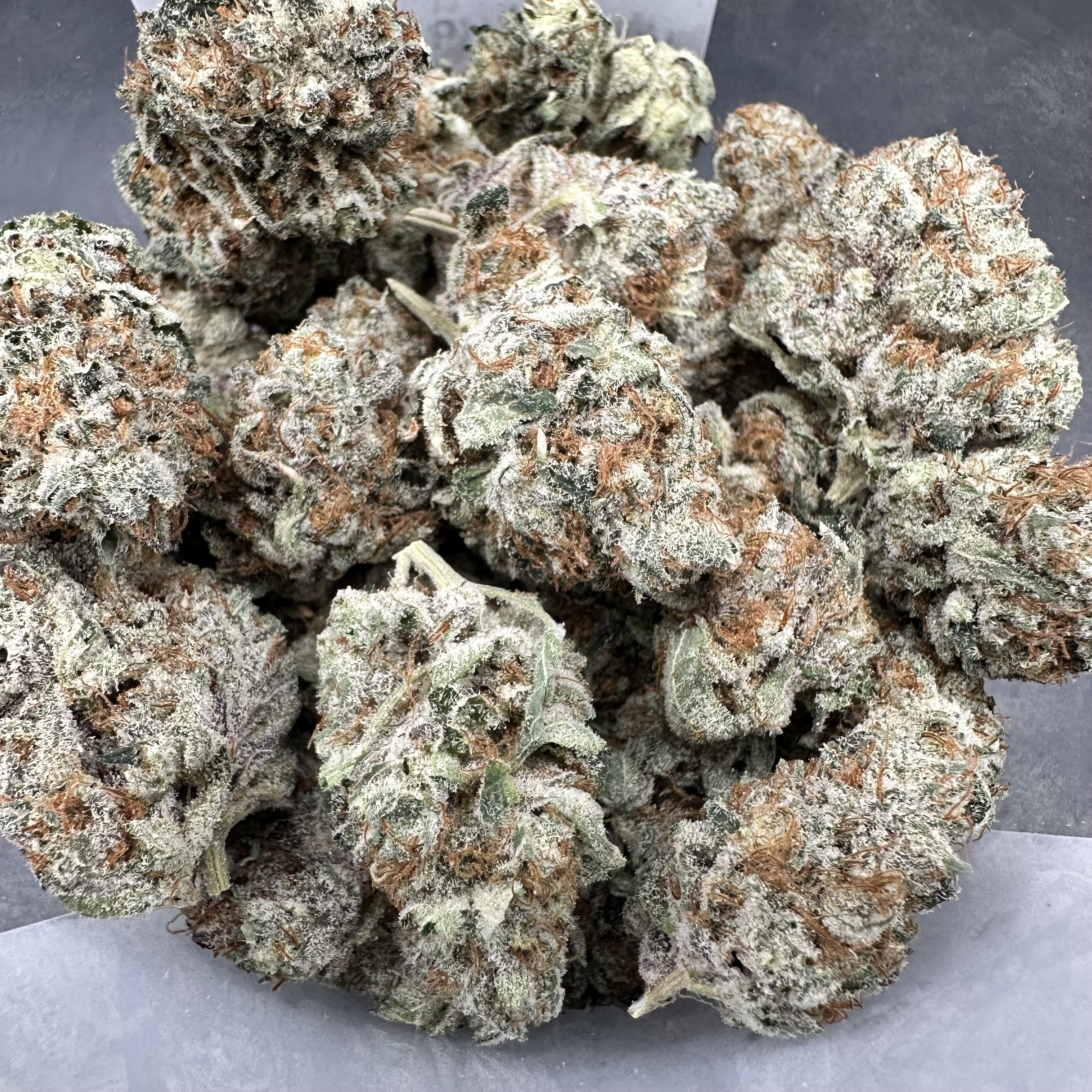 Photograph of product: $75 GMP Flower - Zoapinator - 28g