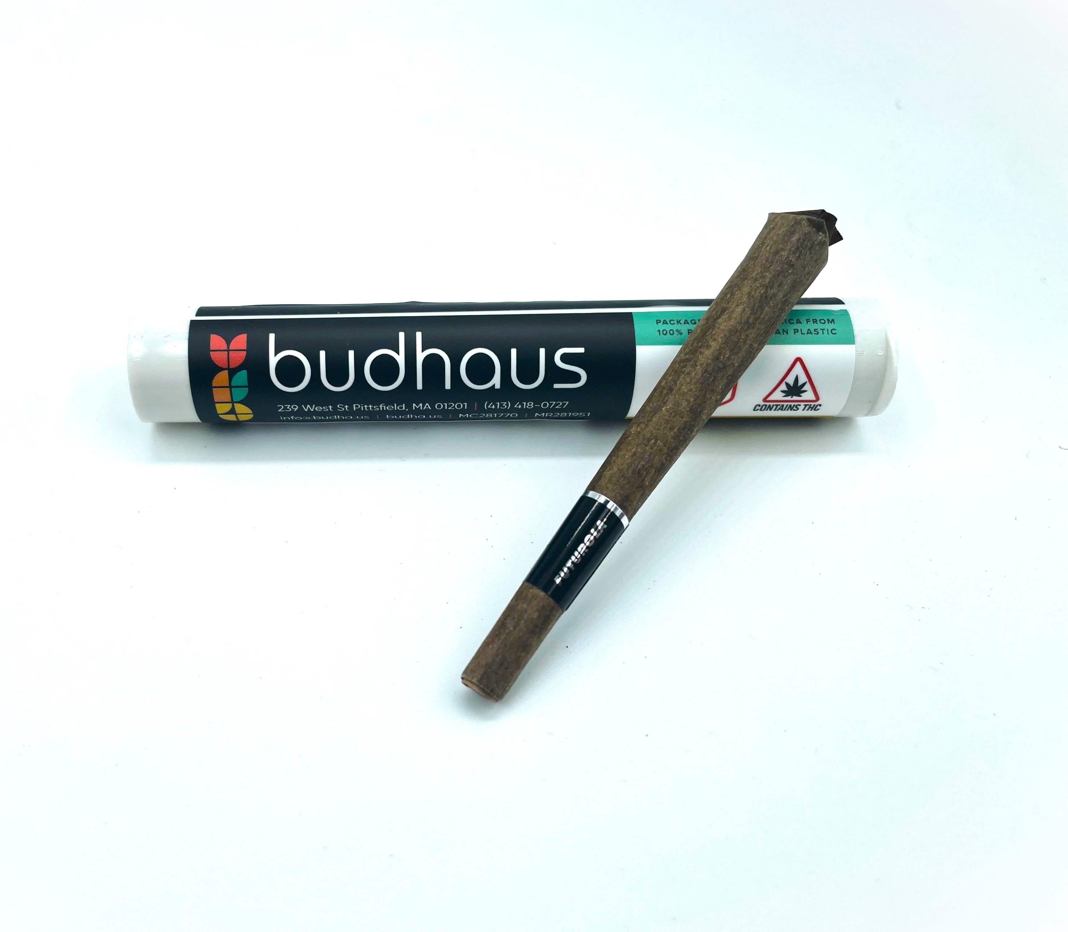 Photograph of product: White Widow Blunt | 1g