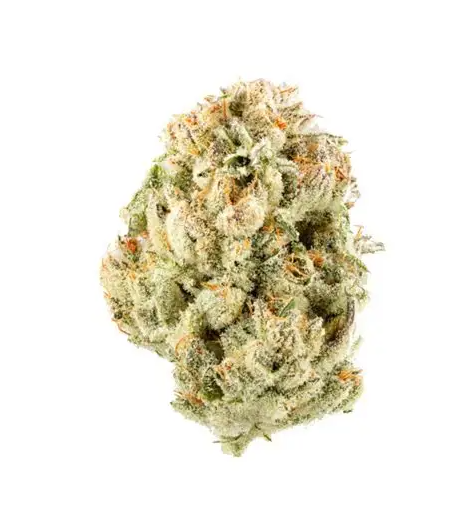 Photograph of product: Gelato Cake - Buds 3.5g