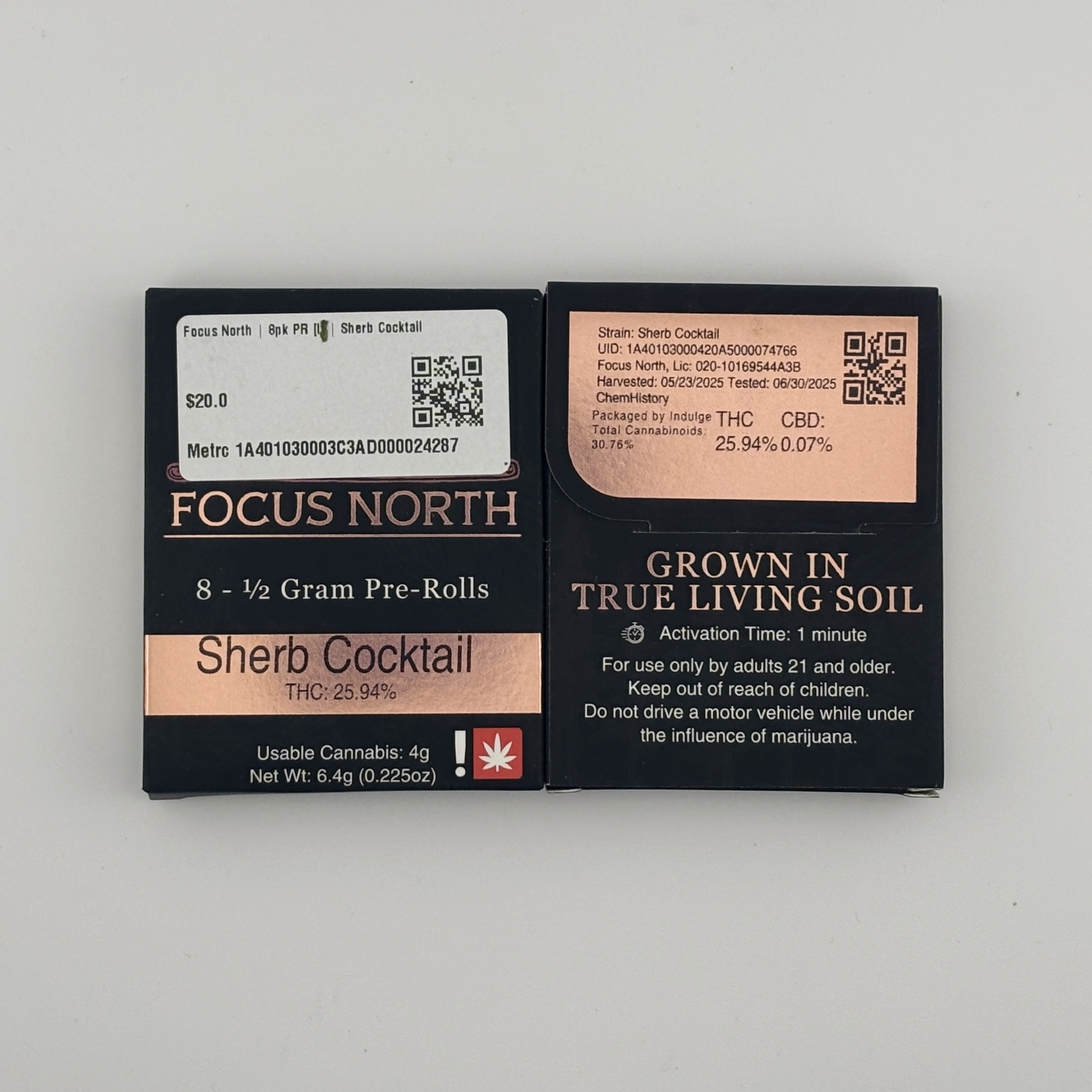 Photograph of product: Focus North | 8pk PR [I] | Sherb Cocktail