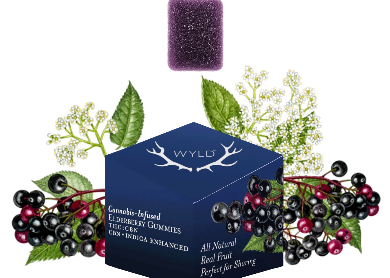 Photograph of product: Boxed Elderberry Gummy