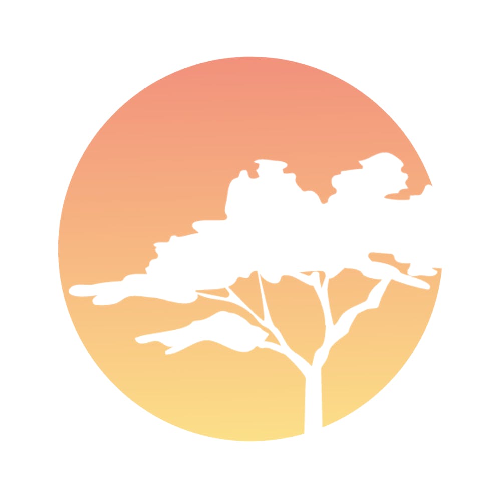 Photograph of product: Raw Classic Black - King Size Slim