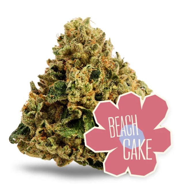 Photograph of product: Beach Cake - 14g
