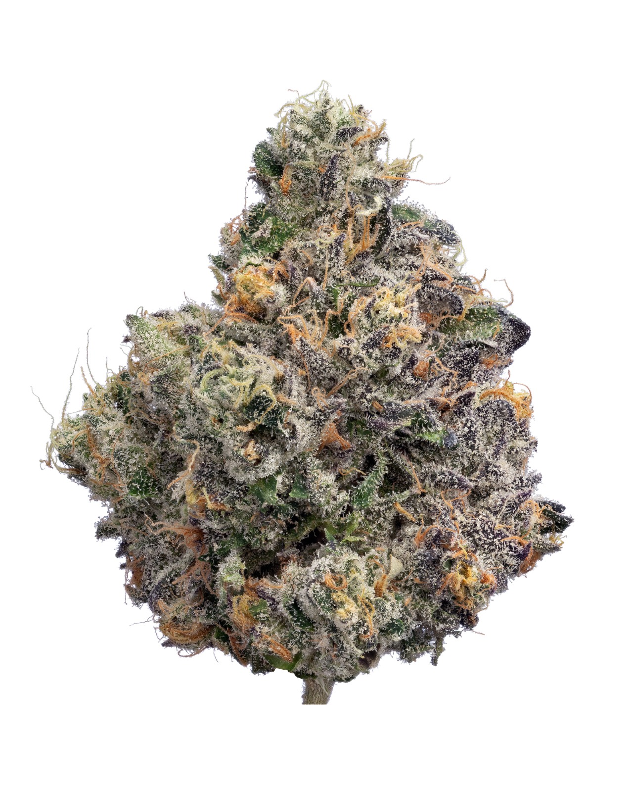 Photograph of product: Inferno | Sunset Runtz | 3.5g
