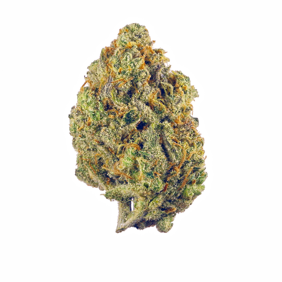 Photograph of product: Lemon Cherry Gelato (S) - 28g