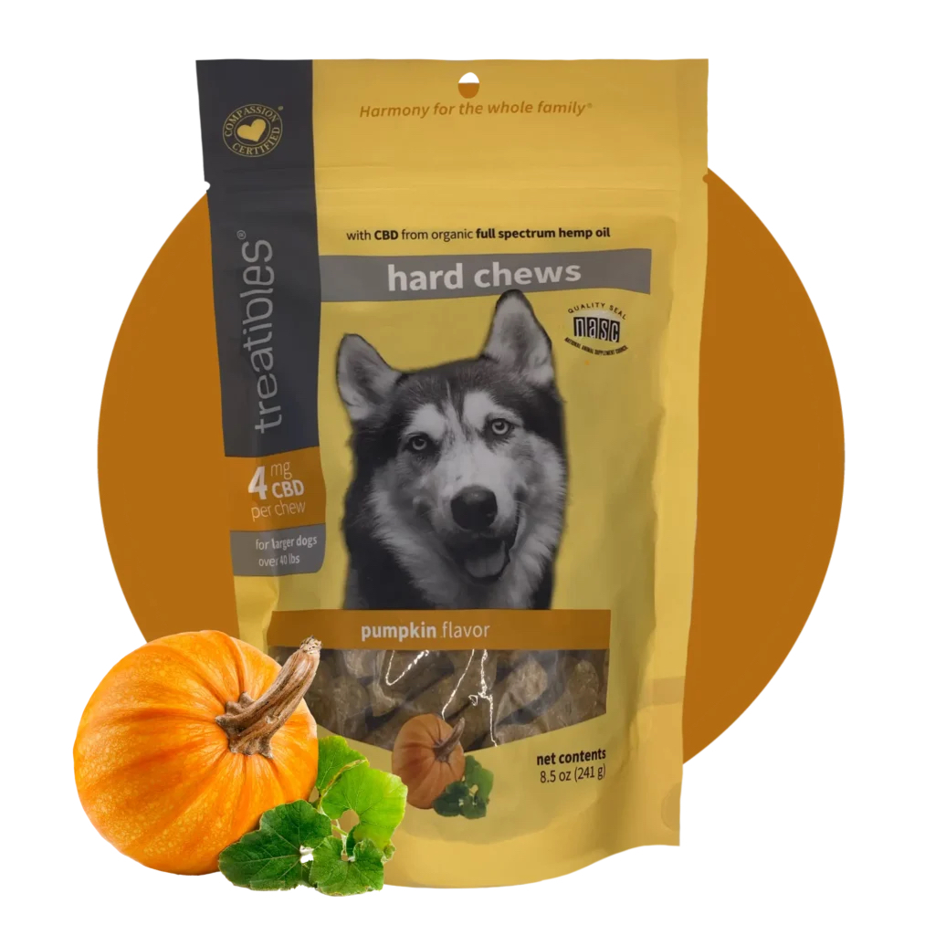 Photograph of product: Treatibles Pumpkin Balance Large Hard Chew
