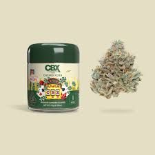 Photograph of product: [Cannabiotix] Flower - 3.5g - Casino Kush (I) - 