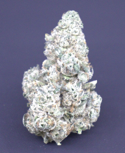 Photograph of product: Mr. Nasty - Buds - 3.5g