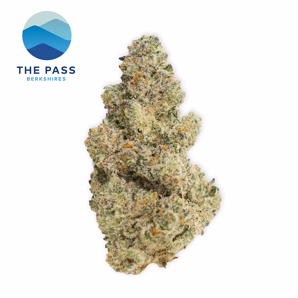 Photograph of product: Jungle Pie | Flower | 3.5g