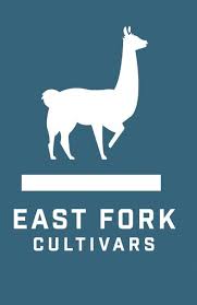 Photograph of product: East Fork - Jelly Delight (2:1) CBD/TH-oui Flower - 28g