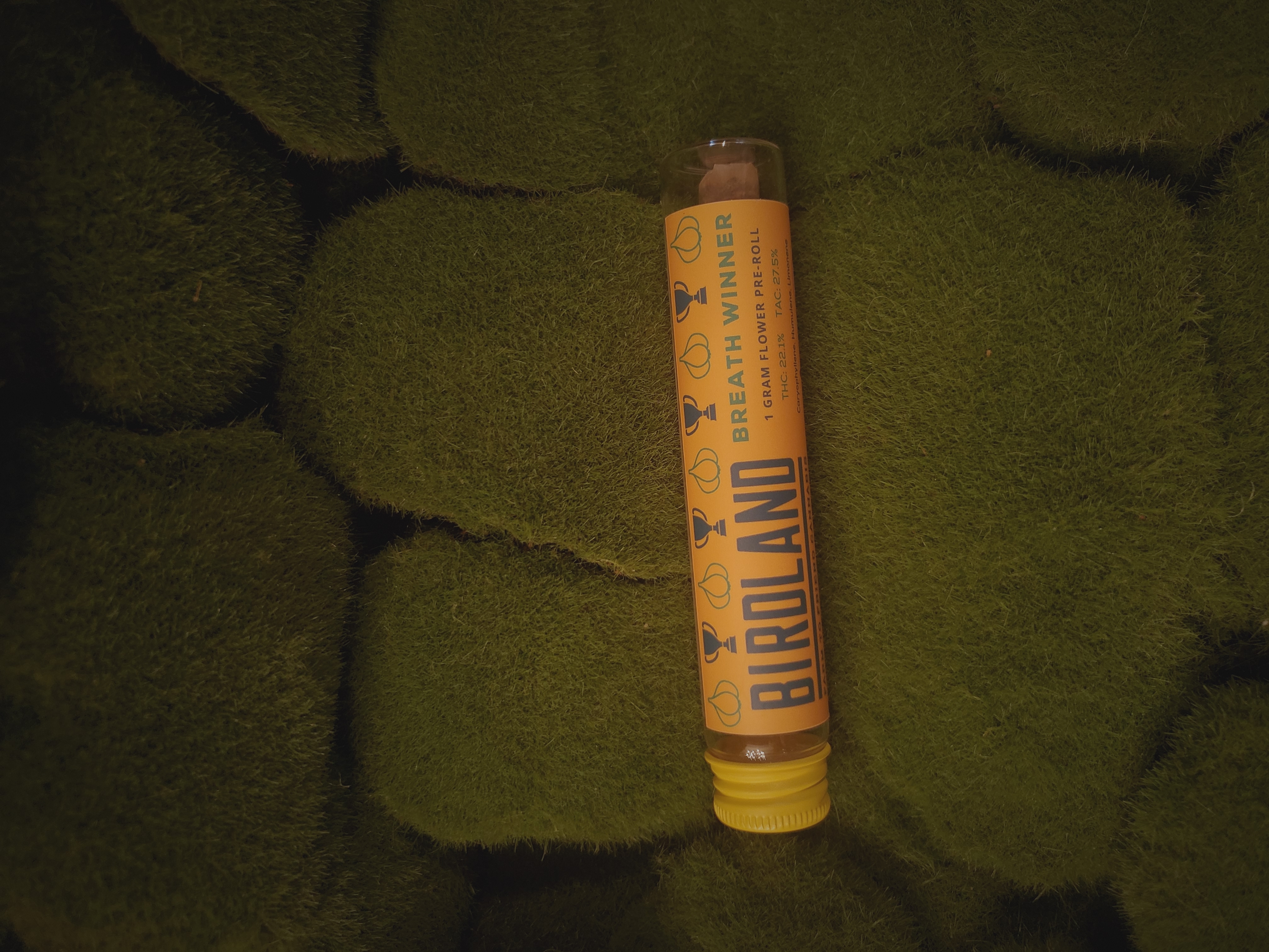 Photograph of product: Pre Roll Single | Breath Winner | Birdland