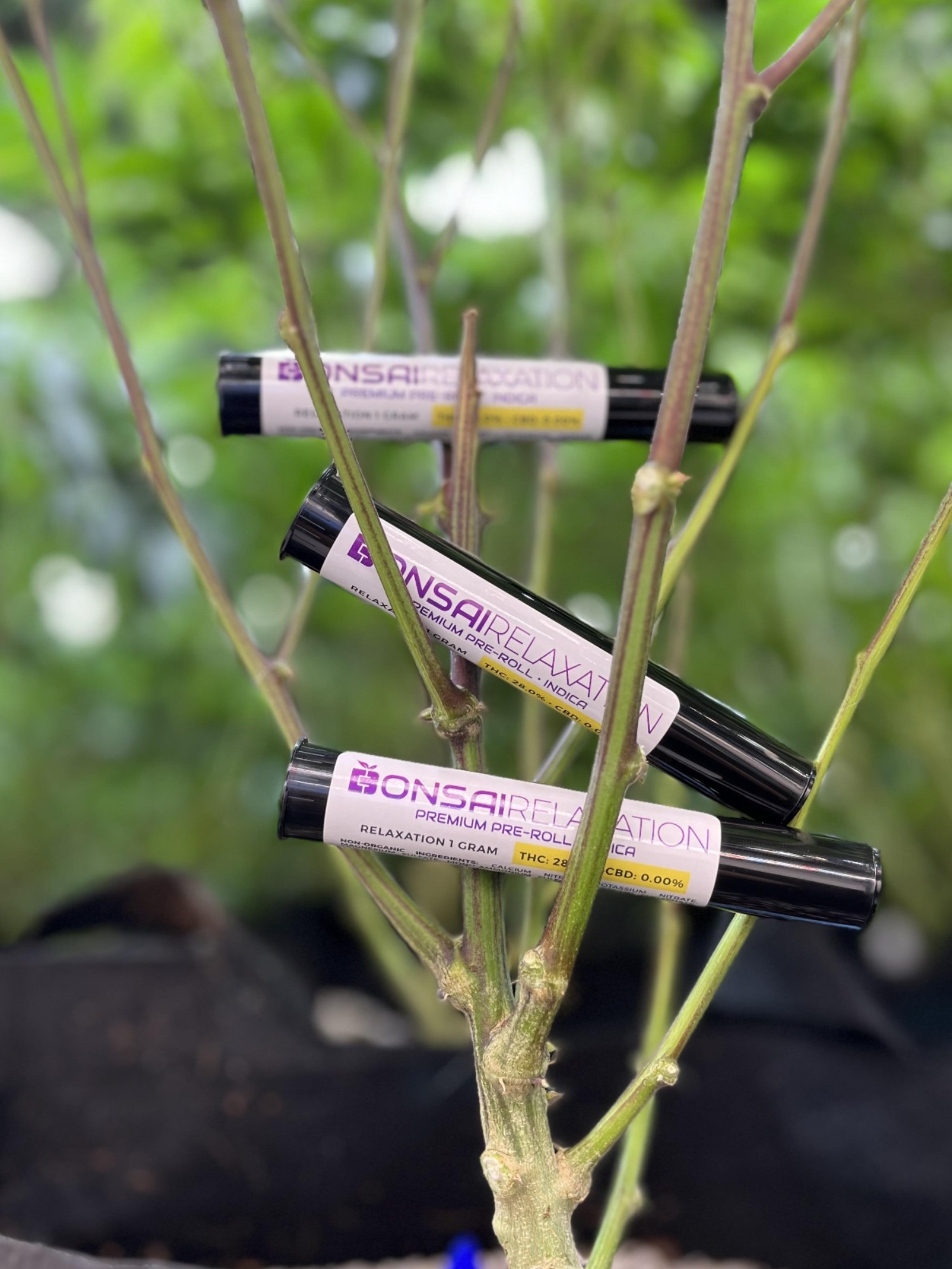 Photograph of product: Relaxation (I) - Pre-Roll - Bonsai