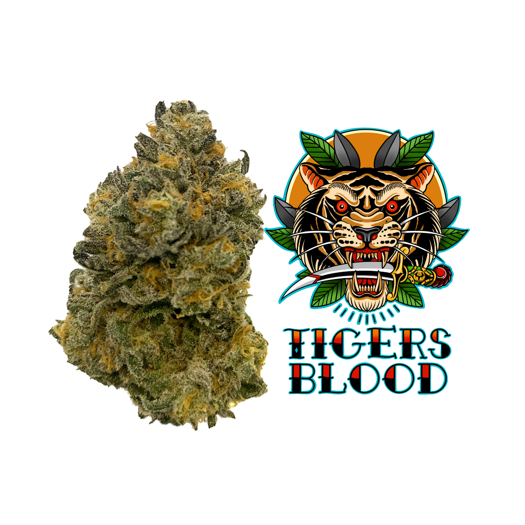 Photograph of product: Tigers Blood Popcorn Buds (TAX INCLUDED) - 3.5g