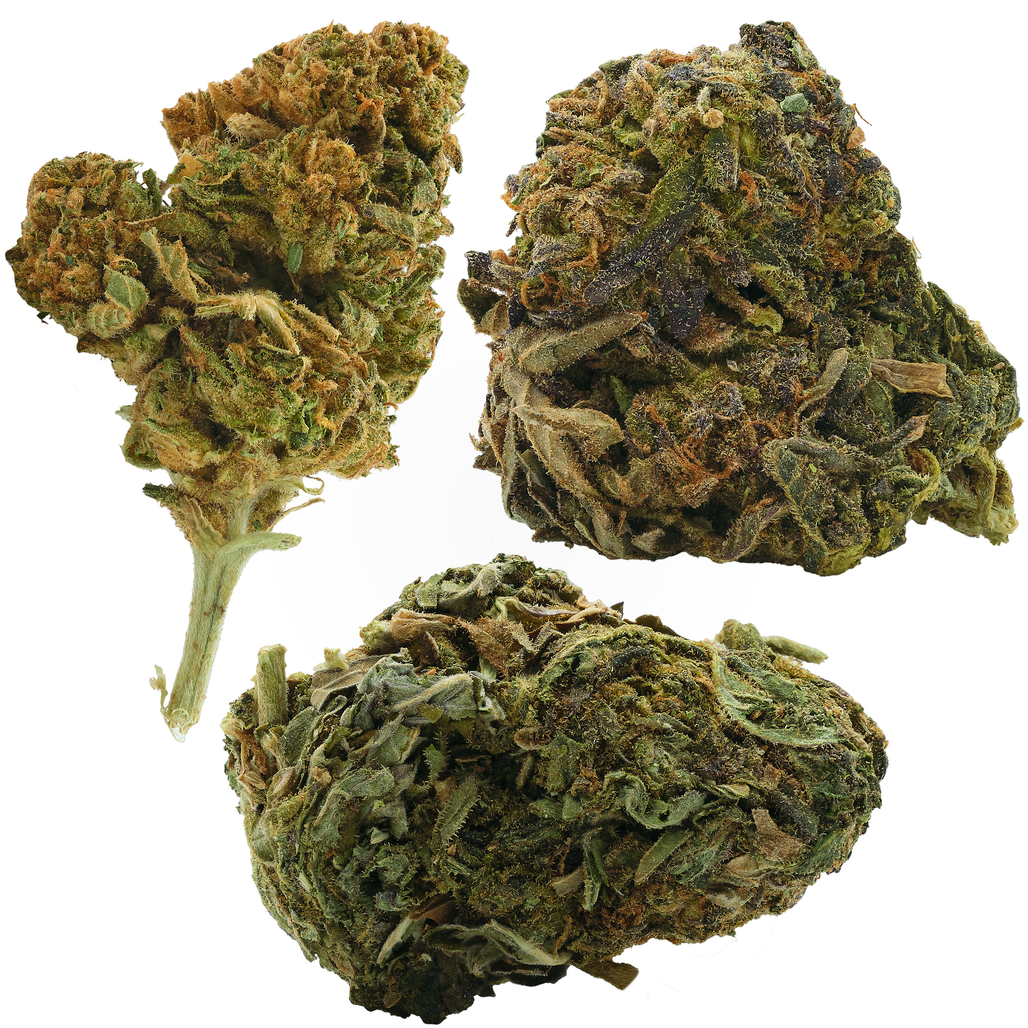 Photograph of product: Fudgesicle Outdoor - 28g