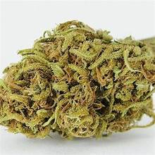 Photograph of product: 2:1 Yin-Yang | 3.5g CBD | S&S