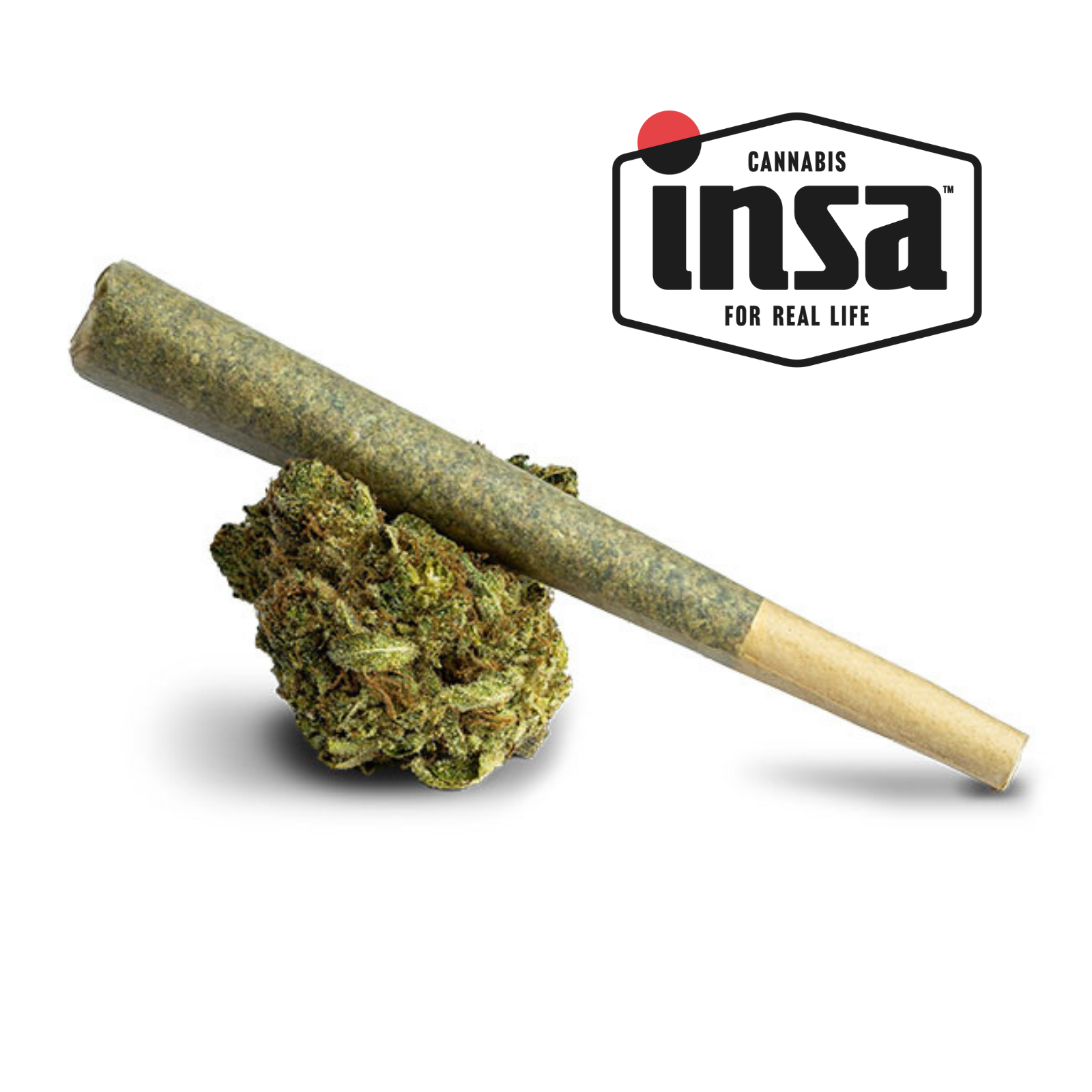 Photograph of product: 1g Pre-Roll | The Truth | INSA
