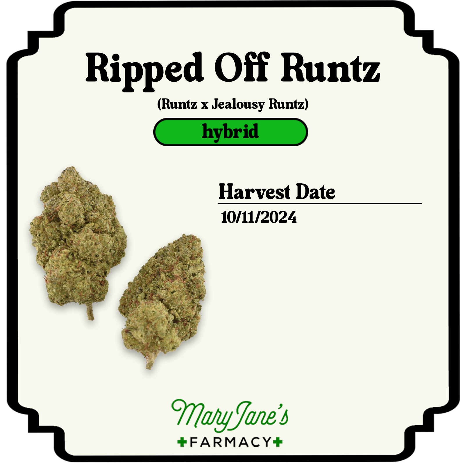 Photograph of product: Ripped Off Runtz Pre-roll | 1g