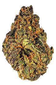 Photograph of product: VIOLET VIXEN - POPCORN - 1/2OZ