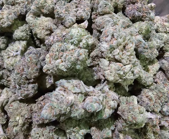 Photograph of product: (2) Community Projects: Lemon Candy Runtz (H) - 28g