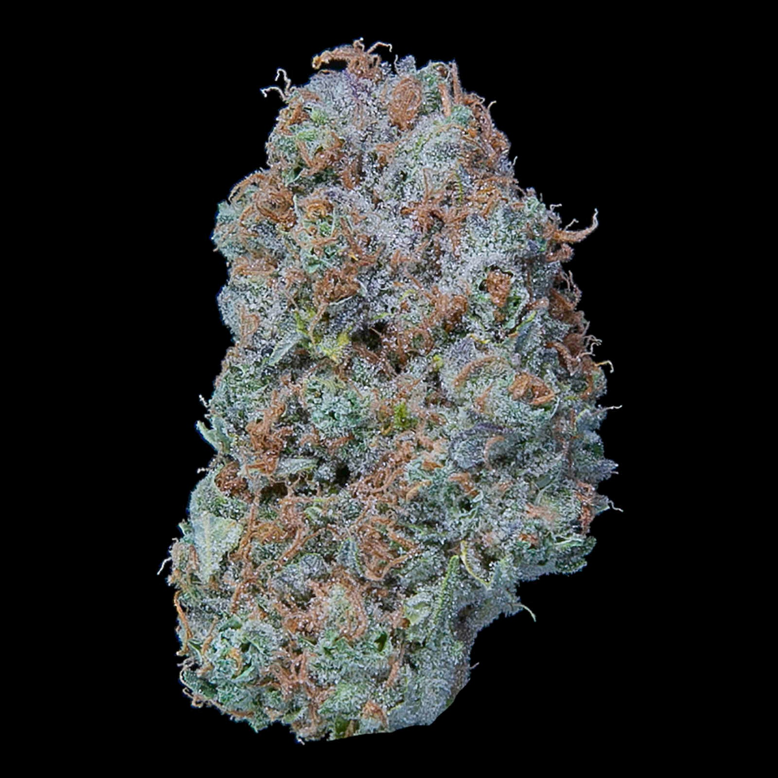 Photograph of product: Dutch Haze (DOH) - 7g