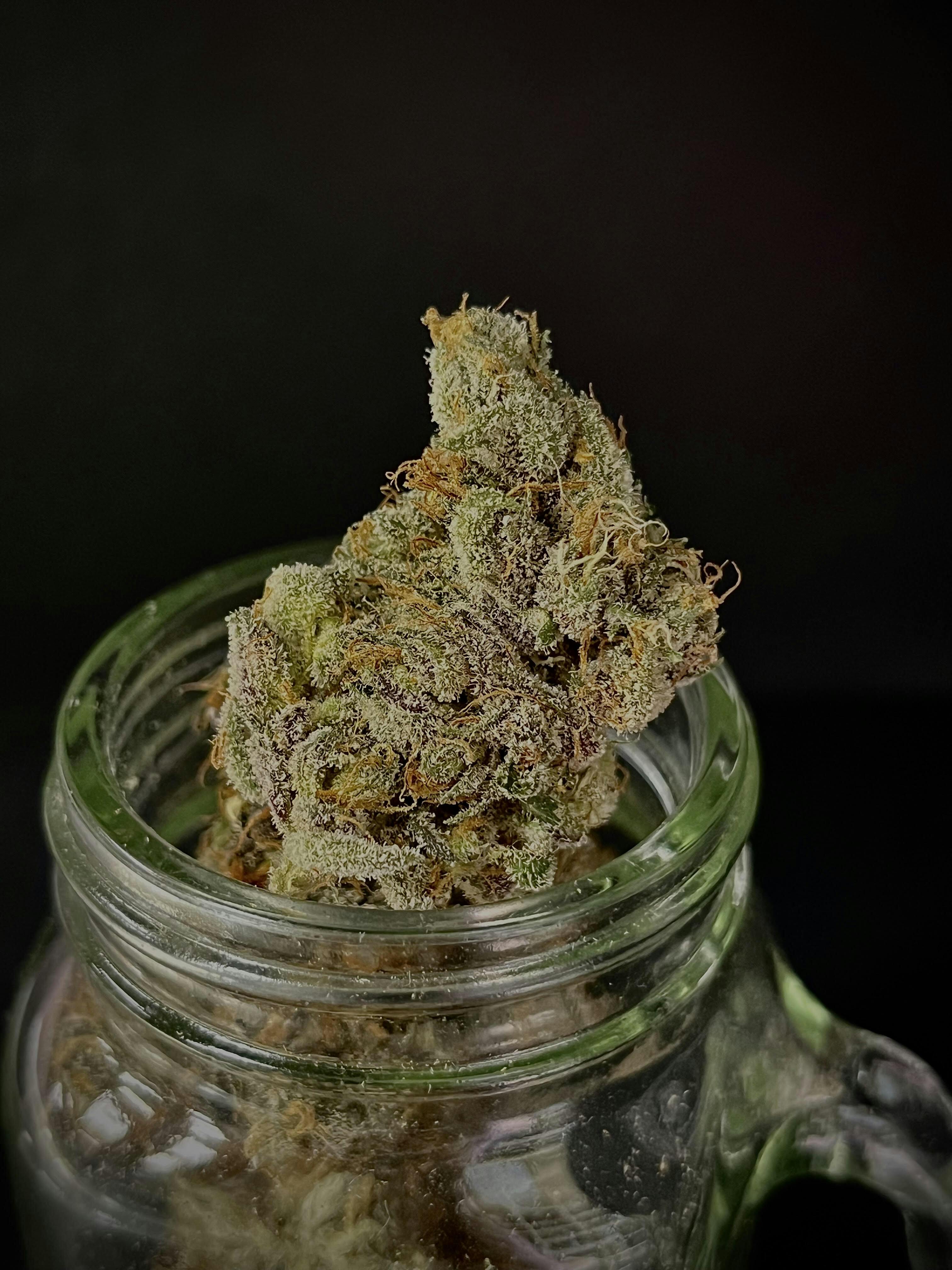 Photograph of product: Runtz Sky Cuddler #2 {Runtz} (710 Labs) (Deli-Style)