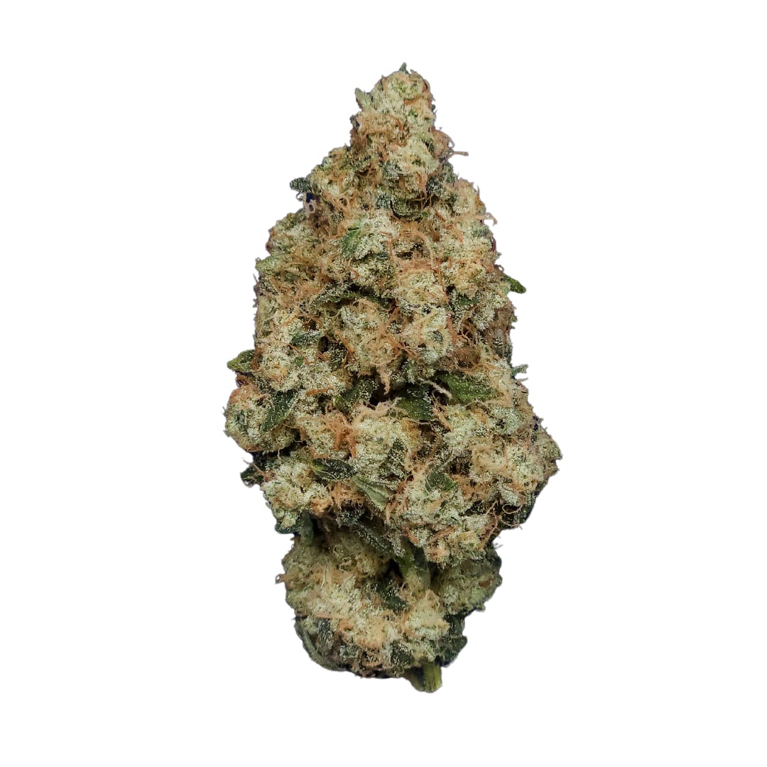 Photograph of product: Secret Meetings (S/H) 3.5g I Platinum Hydrolab