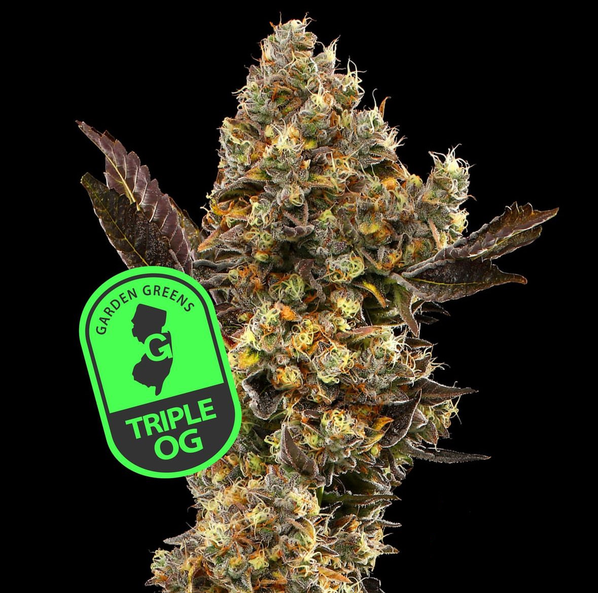 Photograph of product: Garden Greens - Triple OG Flower - 3.5g