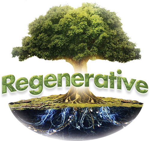 Photograph of product: Head Doctor - Live Sugar Wax