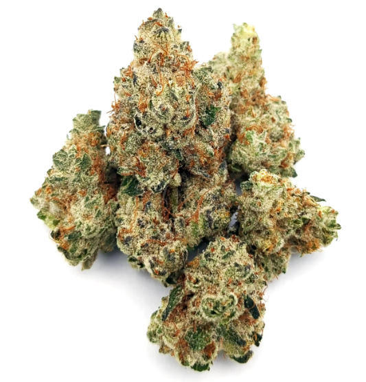 Photograph of product: Cinderella Cream | 3.5g