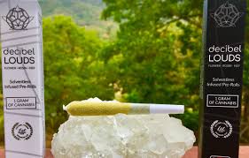 Photograph of product: DECIBEL | LOUD INFUSED PRE-ROLL | WILSON ZERO #3