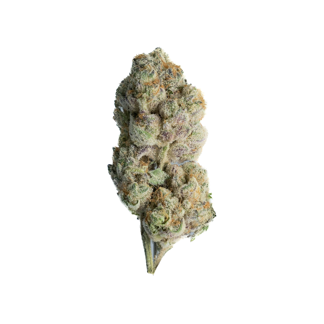 Photograph of product: Premier Tier - Mall Cop - 28g