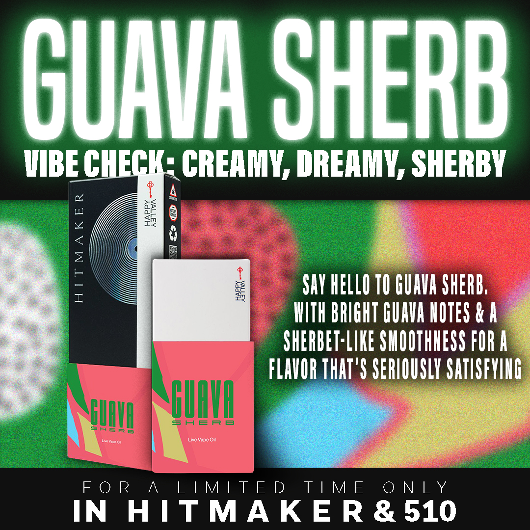 Photograph of product: Guava Sherb | .5g Disposable | The Hitmaker